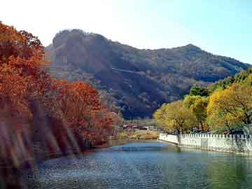 管家婆黑白马报图库，红河物流